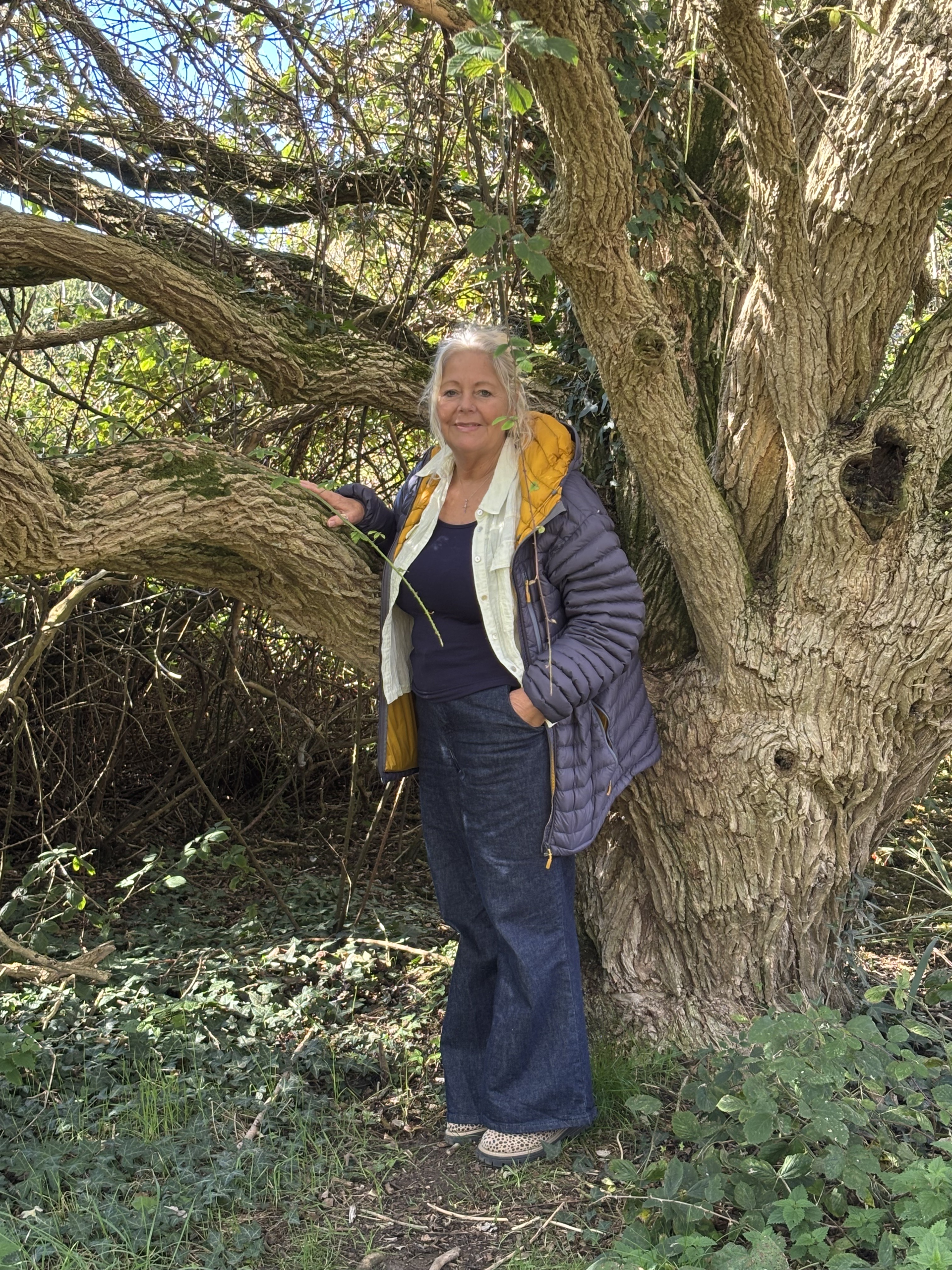 An image of UW partner Sharon Moss